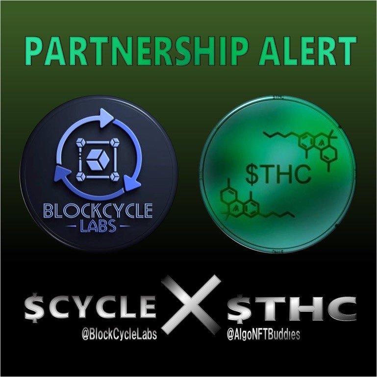 BlockCycleLabs's tweet photo. Our 1st Official LP @AlgoNFTBuddies has been created and @WaltKnowsMoney added a special 2,000 #CYCLE to the Program

Coming Soon you can stake #THC on our dapp and LP Providers will start earning daily rewards this summer

and s/o @FlippingAlgos 

#BlockCycleLabs #ALGO #CYCLEUP https://t.co/Y7yfrmdsBo