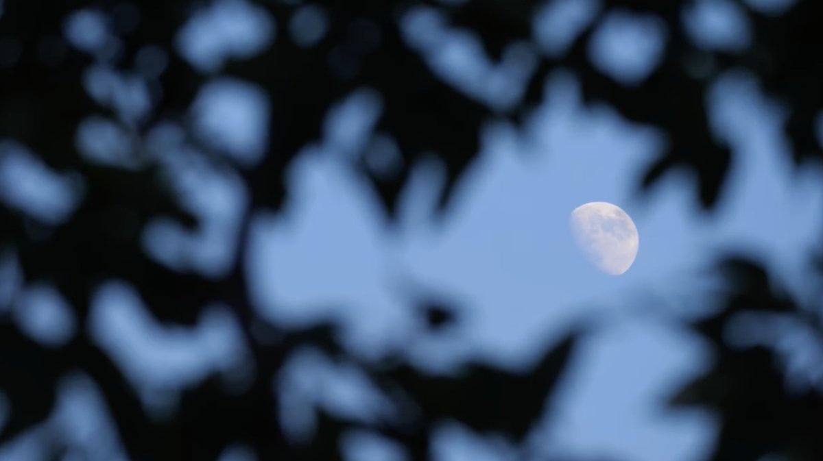 lively_nature's tweet photo. Finding sleep... Easily with Nature. 🦉

https://t.co/HKC18YywAX

#nature #naturelovers #relaxation https://t.co/LsLKIehivc