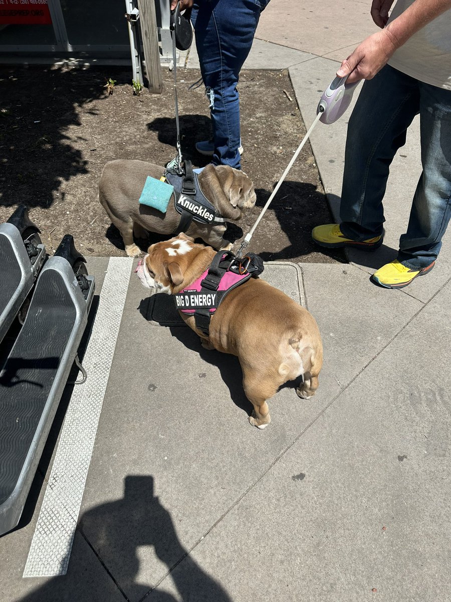 Miley the Amazon tweet media