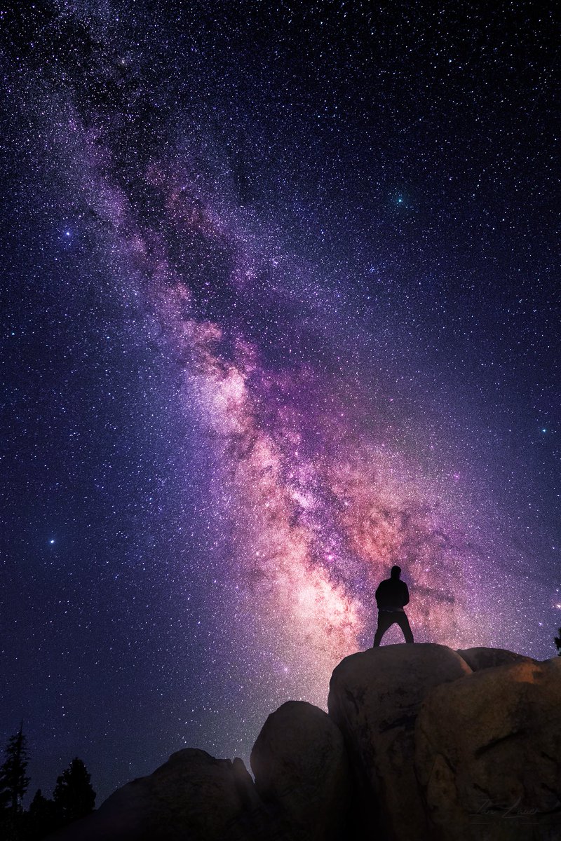 Ian Lauer Astro tweet media