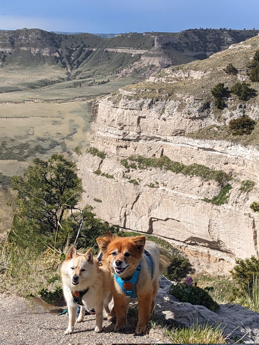 them2dogs's tweet photo. It was an incredibly windy venture up #scottsbluffnationalmonument but did get some good views!! #dogswhohike #dogsiblings #traveldogs #dogsofinstagram #dogsofx https://t.co/rwuncPHv6v