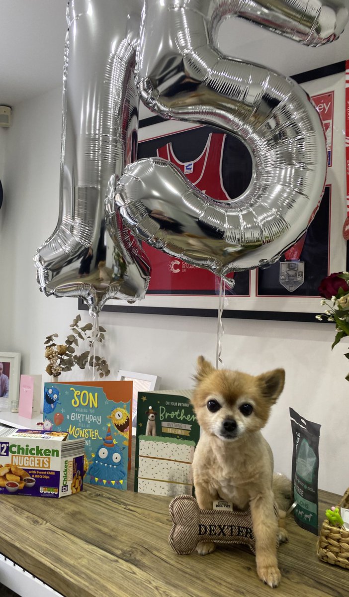 Dexter Smith turns 15 🥳🥳

To some he’s just a dog… for me and those who know me… he’s got me through hard hard times

Happy birthday son, how lucky I am 

It’s your birthday… and your team win!! 

What a day lad 🏆 🔴⚪️⚫️ #FACUP24