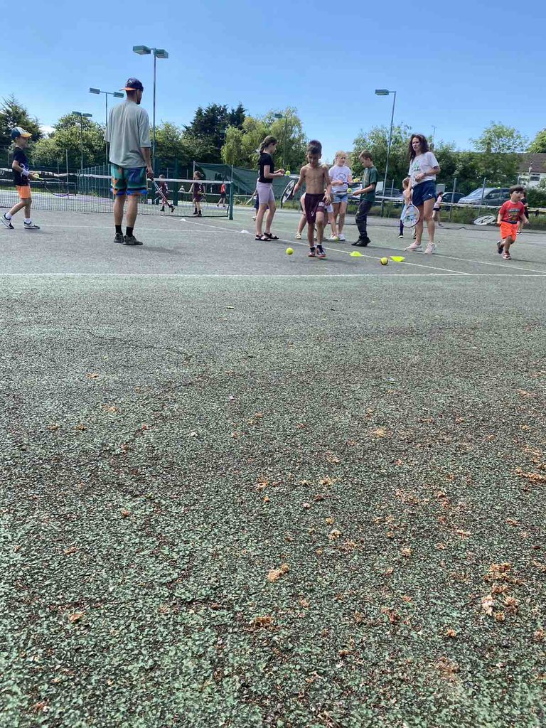 Mira Teodorescu ATF tweet media