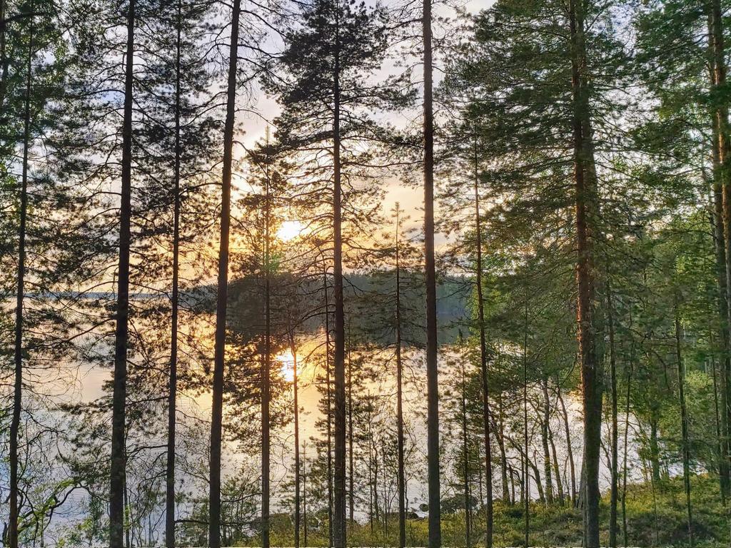 Toukokuinen tyyni ilta, käki kukkuu hiljaisessa järvimaisemassa. 
#Viitasaari #Suovanlahti