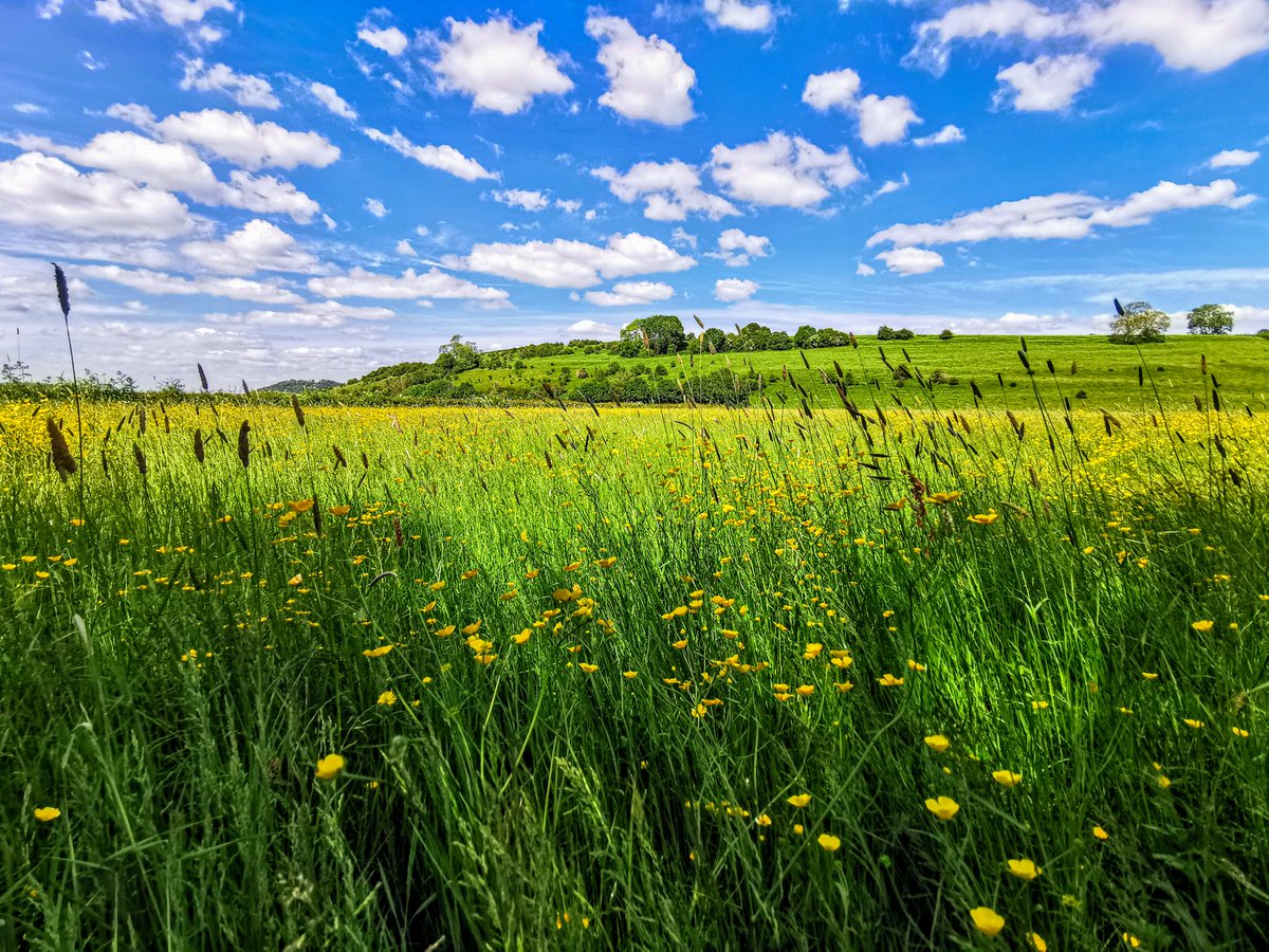 A nice day here in #southsomerset with plenty of sunshine 🌤️, cloud started to increase from late afternoon with rain not far away now 🌧️. Max temp of 18.5c at #yeovilton.