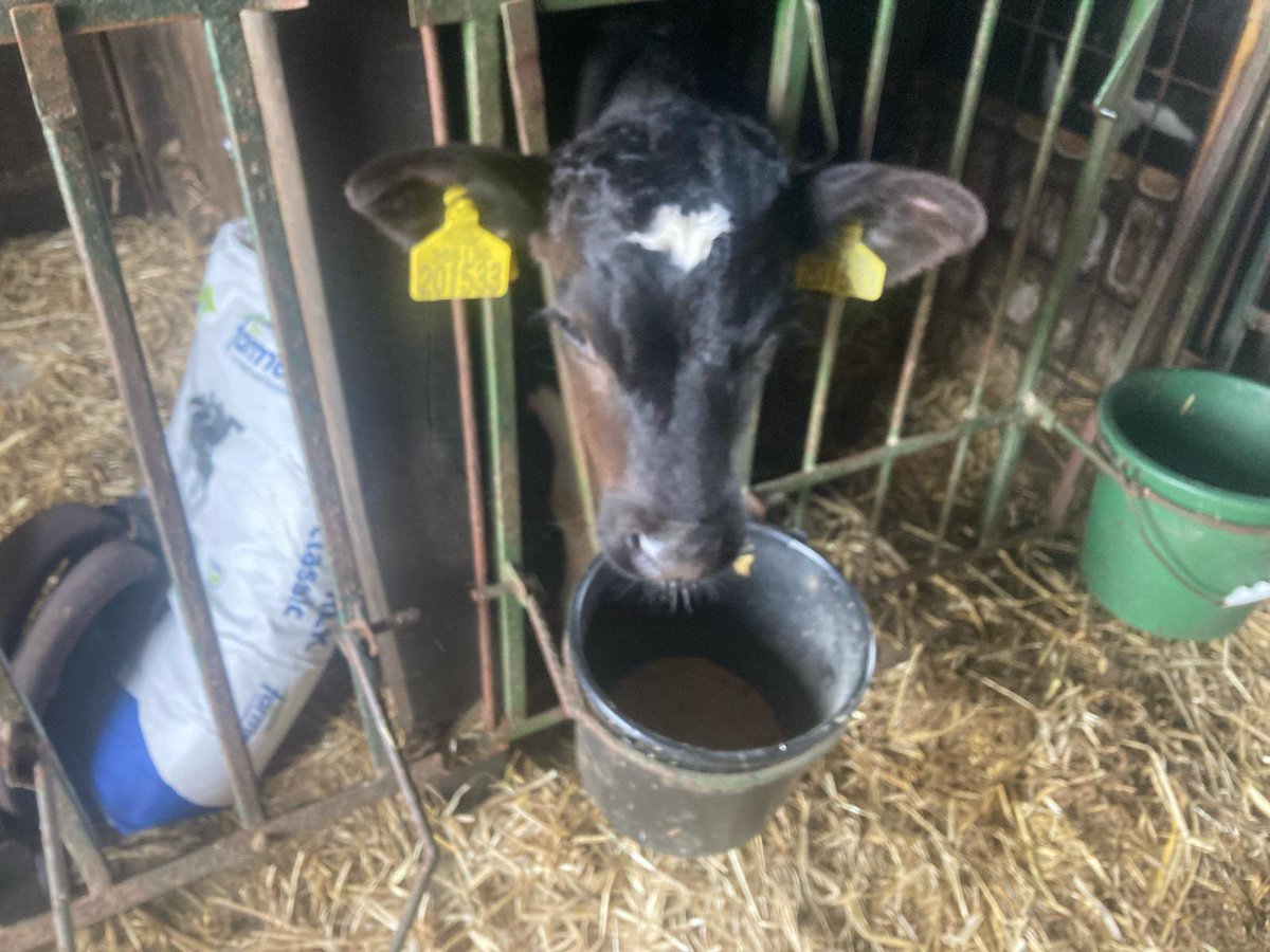 Andrew has reached Devon on his FridesRide. He’s set-up camp on a farm for the night. We wonder where he’ll be this time tomorrow? <a href="/ODSTschools/">Oxford Diocesan Schools Trust</a>