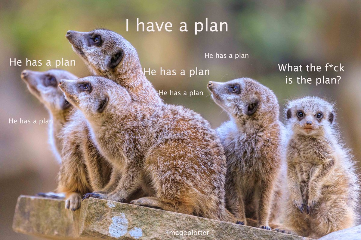 Has anyone seen #theplan ? Answers on a postcard from Rwanda, please.