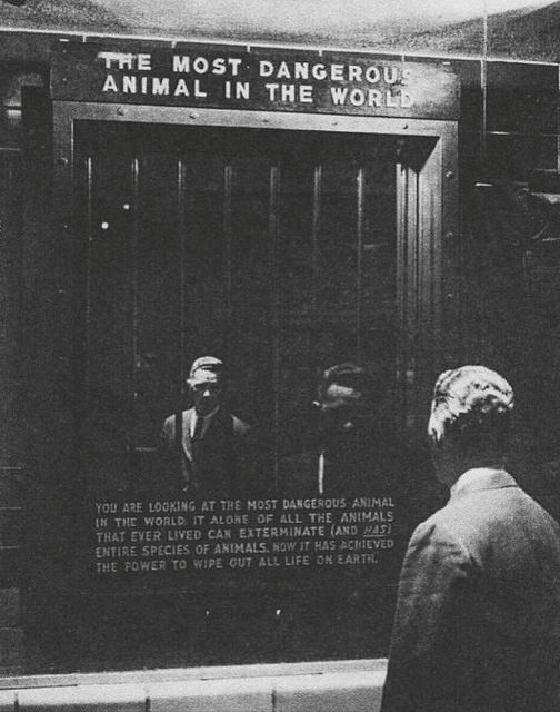 58 years ago, in 1963, this exhibit was in the the New York Bronx Zoo between the Orangutan and Mountain Gorilla cages, to reflect in a mirror the visitors who wanted to see the most dangerous animal in the world. “You are looking at the most dangerous animal in the world. It