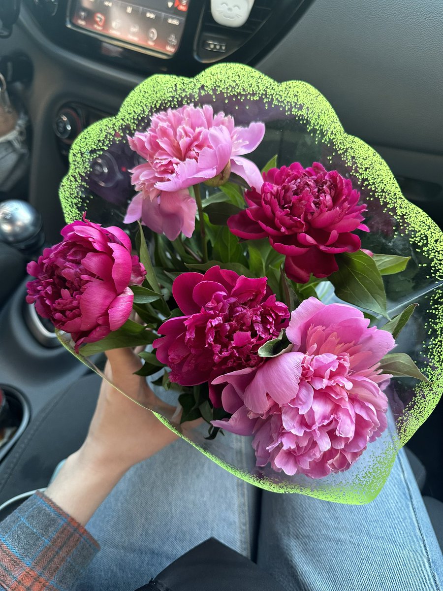 Kateriiinkaaa's tweet photo. Купуйте квіти у бабусь!!!!🥰 https://t.co/17LMrU1REN