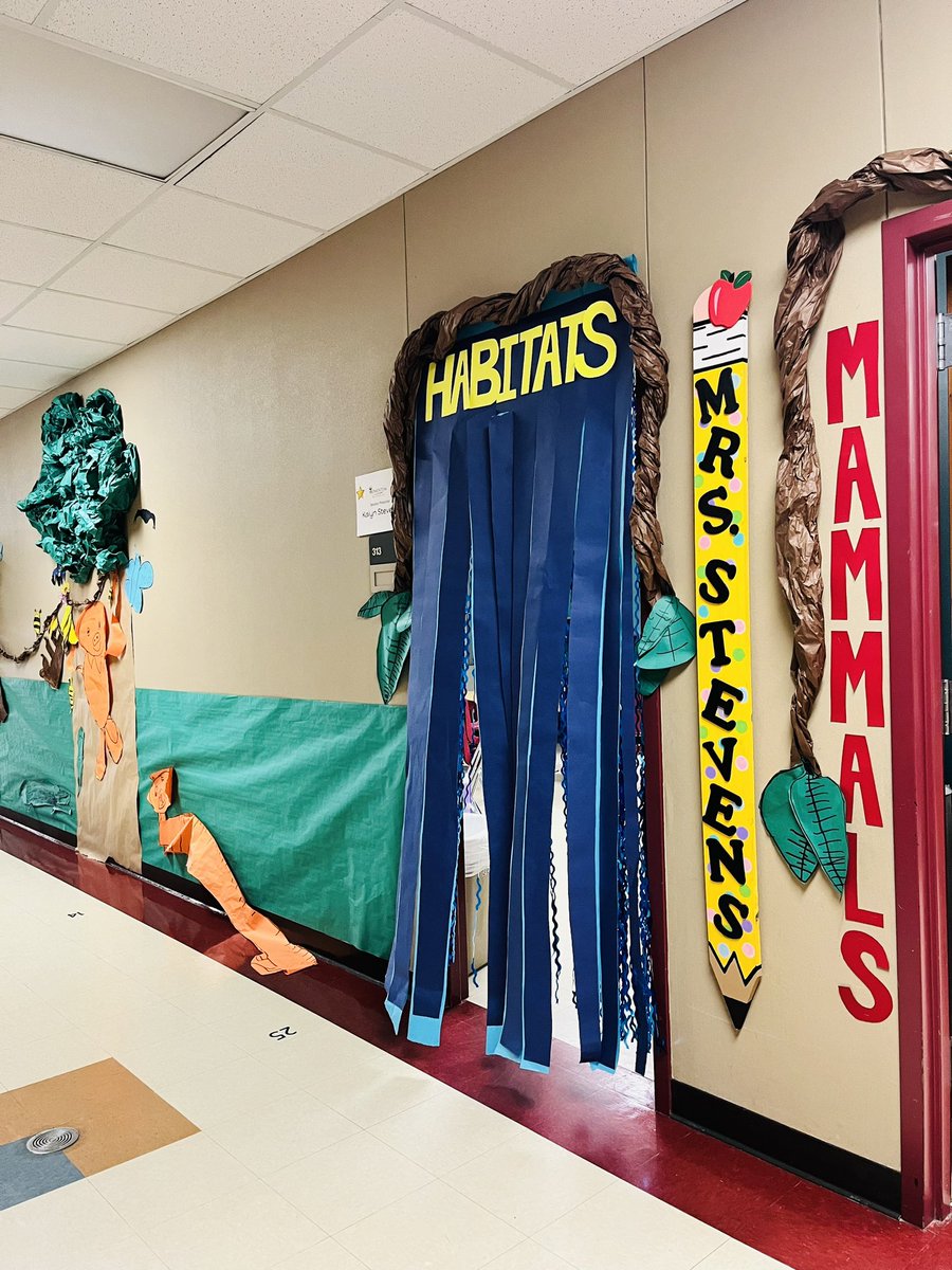 First Grade FUN teaching kinder &amp; pre-k all about the mammals, reptiles, birds and layers of the Rainforest. Each classroom had a different category to teach and they were quite the experts🦥🦧🌿🤗