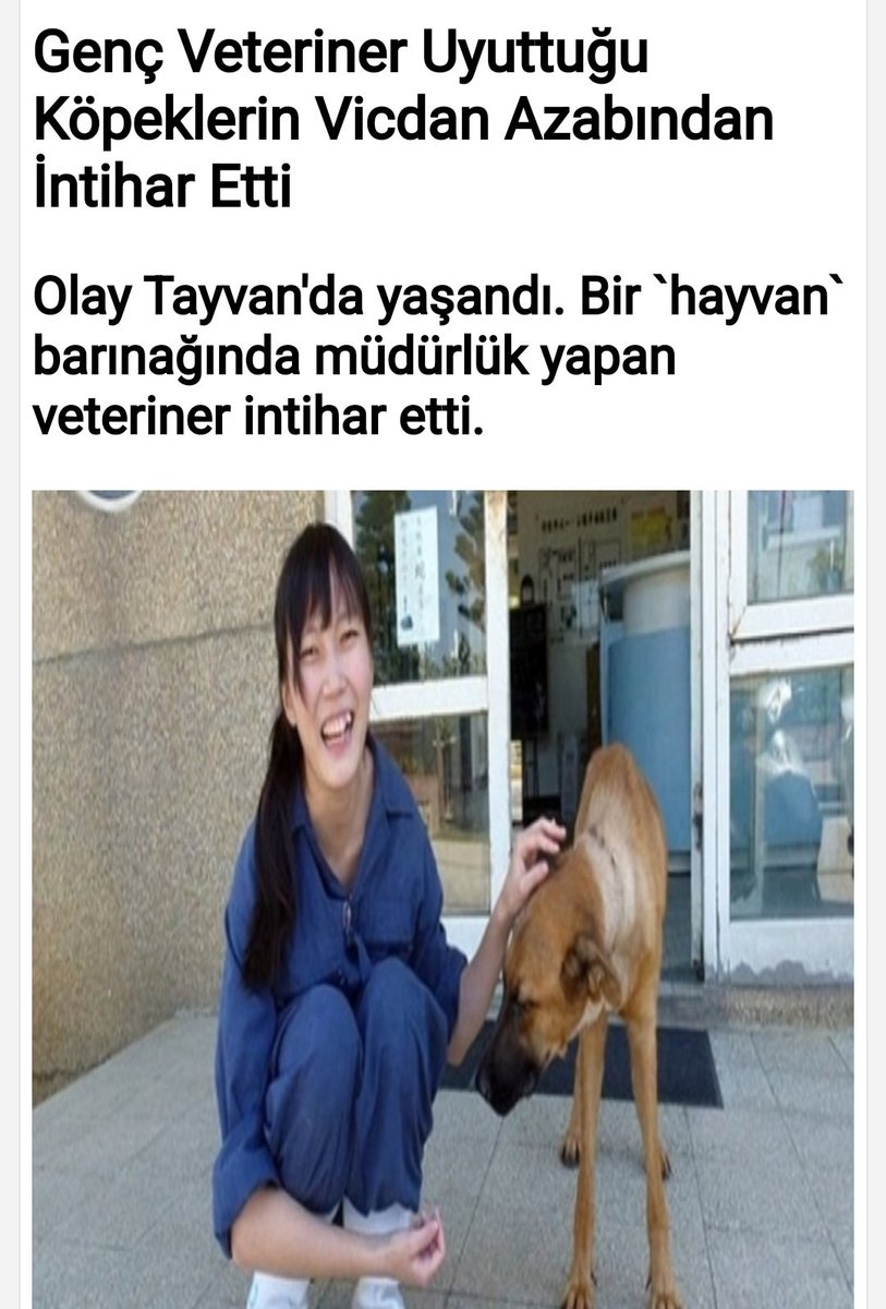 Tayvanlı veteriner Jian Zhicheng, 700'den fazla sağlıklı köpeği öldürdükten sonra, yaptığı işin psikolojik yüküne dayanamayarak, aynı ilaçları kendi damarına zerk ederek intihar etmişti. Uyutmak cinayettir! #HayvanKatliamıİstemiyoruz #KısırlaştırAşılatYerindeYaşat