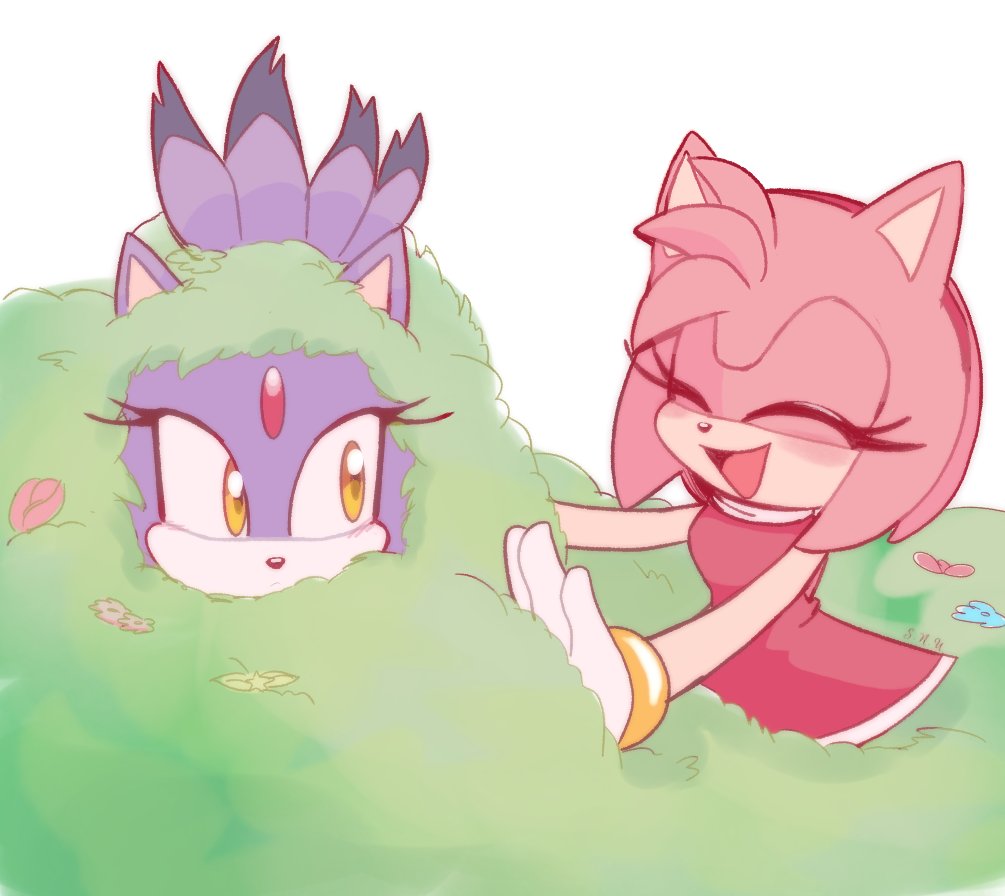 #amyrose
#blazethecat
#blazamy 
#sonicfandom