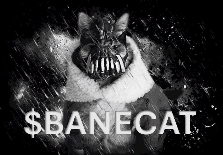 BaneCatonSOL's tweet photo. @pumpdotfun You can use this feature whilst buying #BaneCat 

https://t.co/skbLAd5Bhn https://t.co/MUqEybQQhU