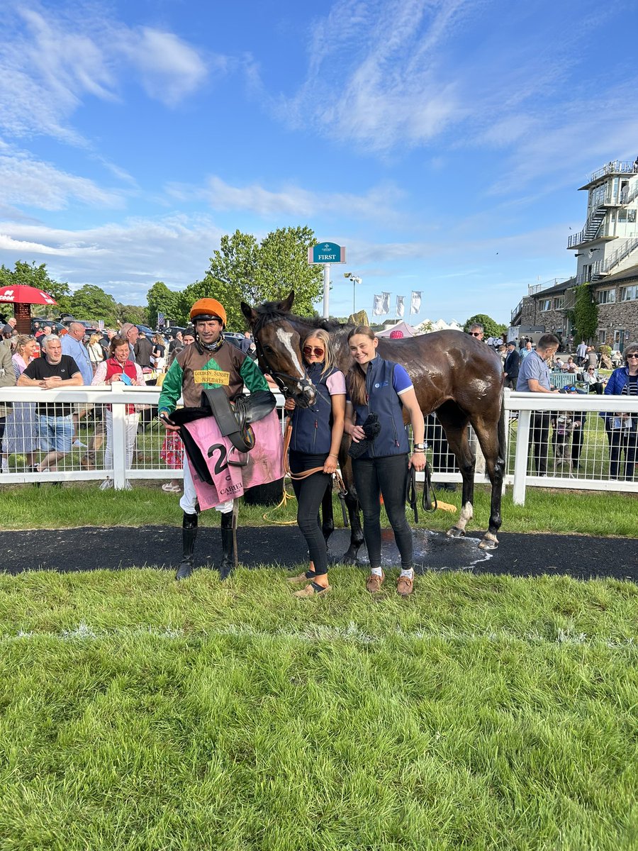 🏆Winner🏆

Big beehive gets some sticky toffee pudding at Cartmel Racecourse 😊