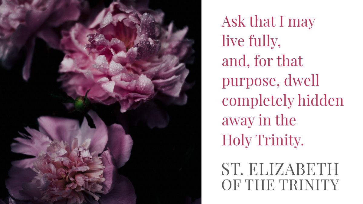 St. Elizabeth of the Trinity unites in prayer with a seminarian, living in communion with Christ and dwelling in the Holy Trinity. She prays for his ordination, urging sanctification and becoming 'the praise of His glory.' 🙏 wp.me/p4jVkC-FR #TrinitySunday @RosaryMum