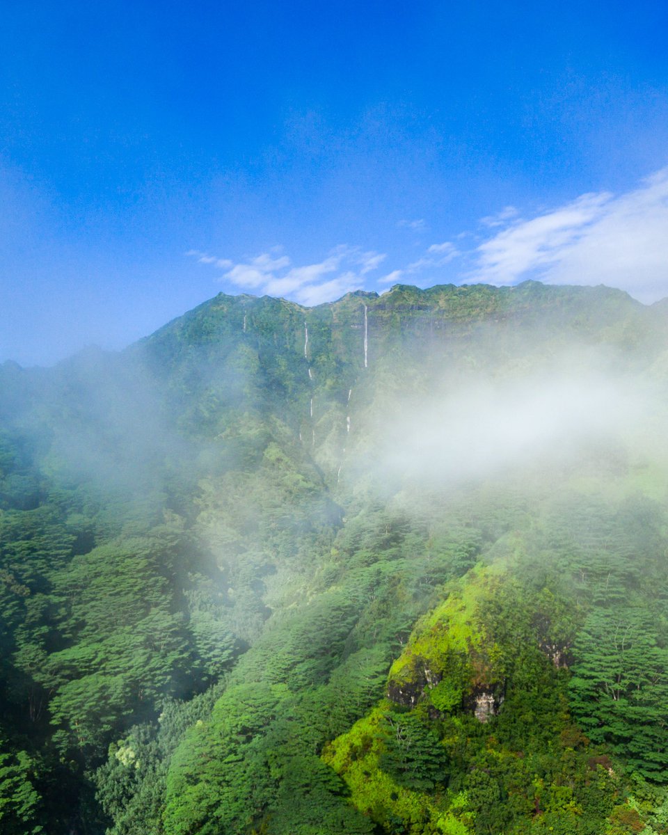 Lush rainforests and rushing waterfalls off the top of mountain peaks. 🌴💦⛰️ 📍 Kauai, Hawaii.