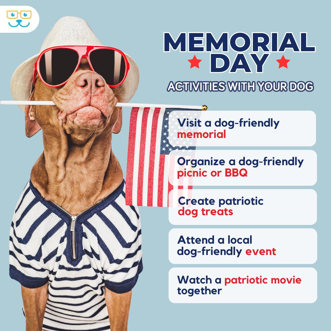 Get ready to celebrate Memorial Day with your best friend! Try these fun and festive activities with your dog and make sure to share pics with us 🐶 📸 #vieravet #DogFun #MemorialDay