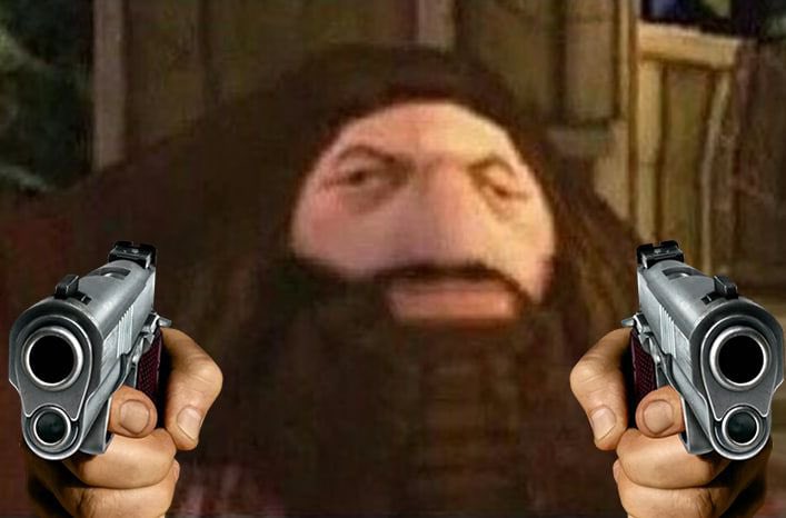 Conor Mcgregor tweet media