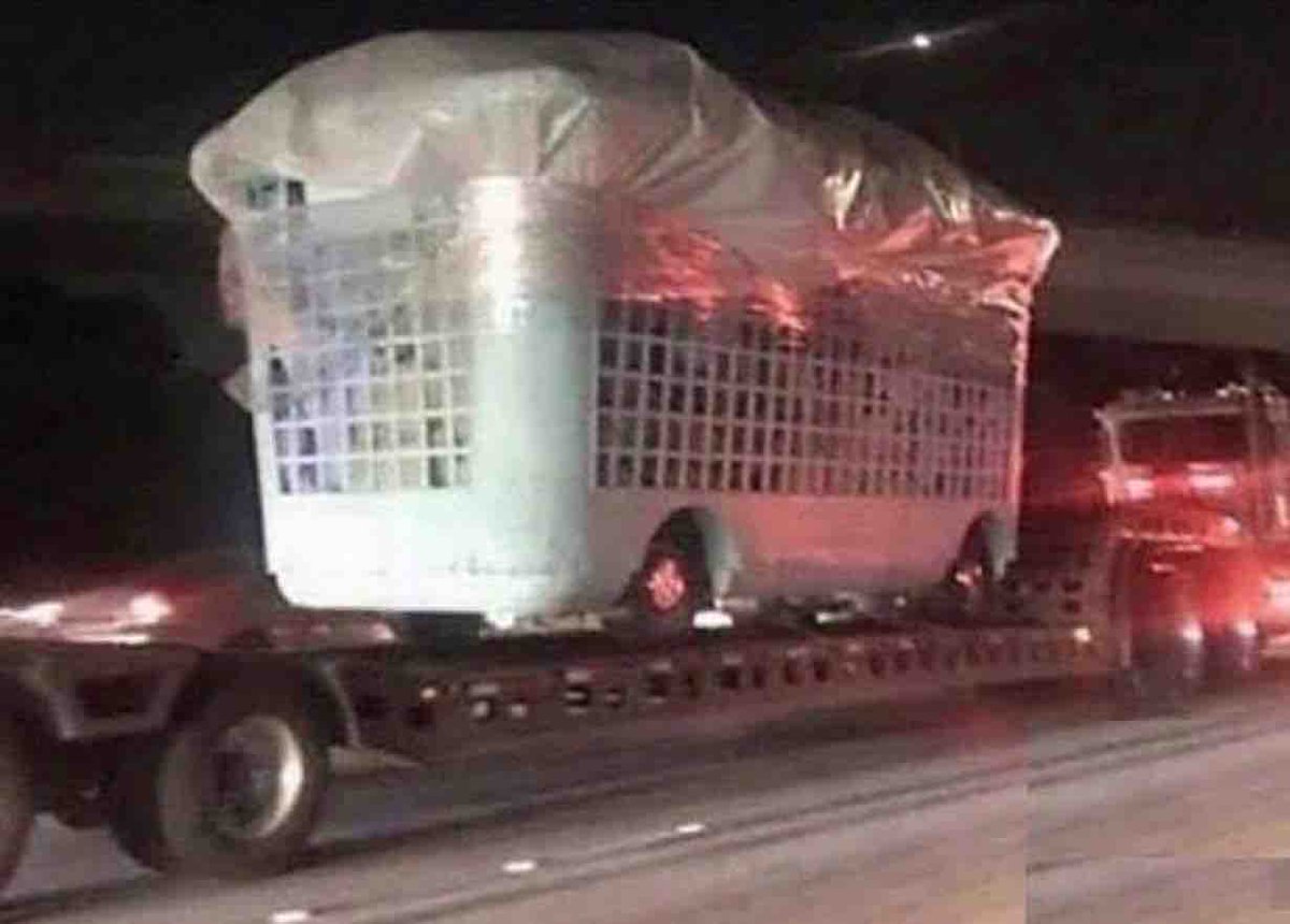ElpofeLindo's tweet photo. Cuando por fin cae agua en la colonia y ves toda la ropa que tienes que lavar: https://t.co/BPj5PPyKEA