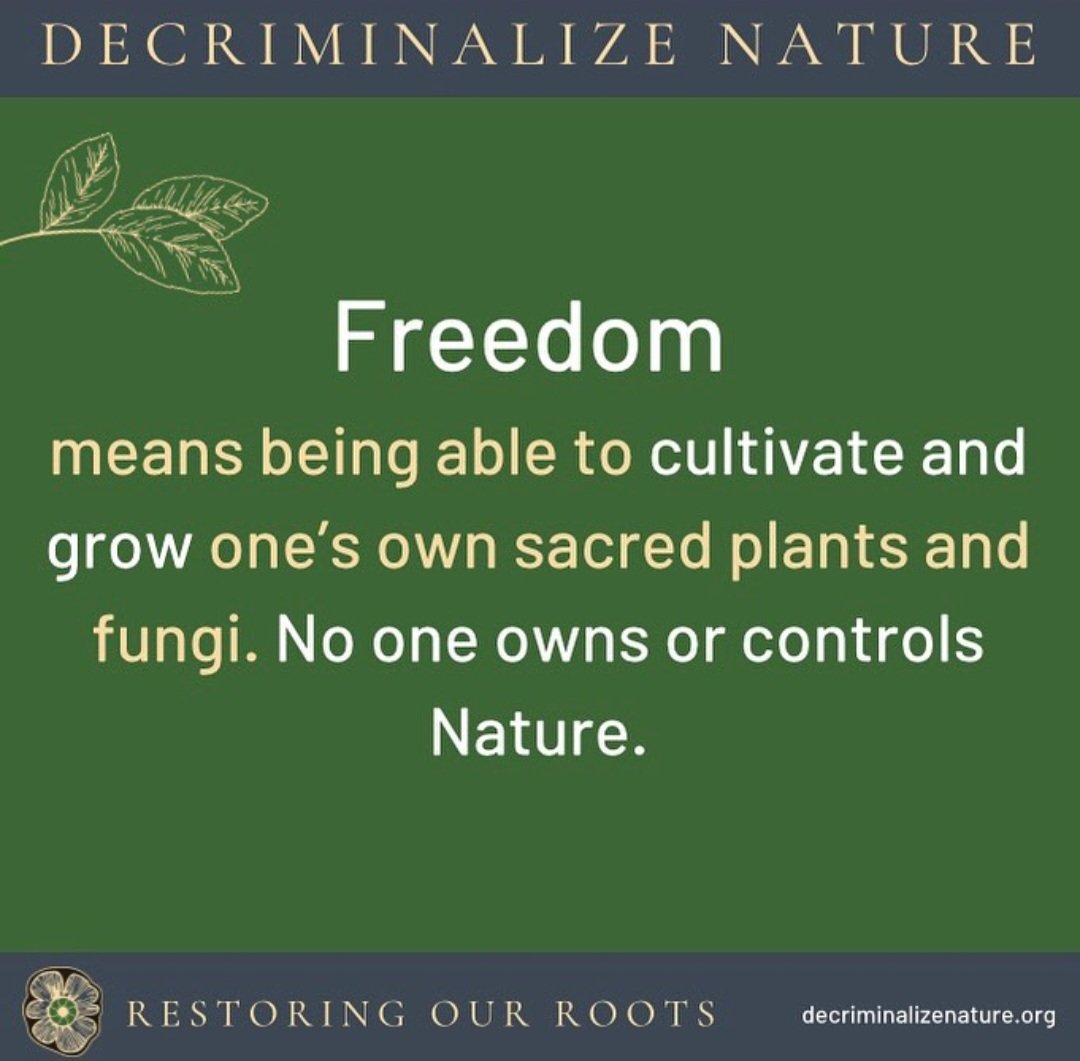 Grow your own mind medicines 
🌱🍄🌵 #DecriminalizeNature