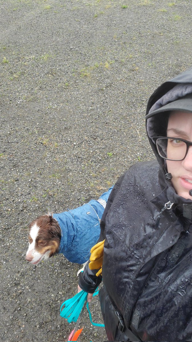 Wet asf tracking today for the freshly groomed loaf and I this morning