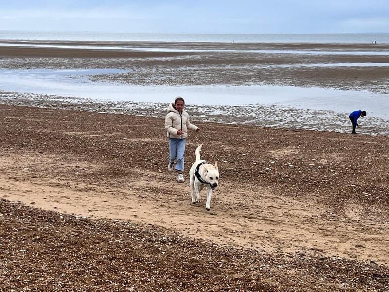 Late May Bank Holiday picture diary of a Nasese runner. First ever visit to #norfolk and Cosmo’s first family holiday 🐕 #hunstanton