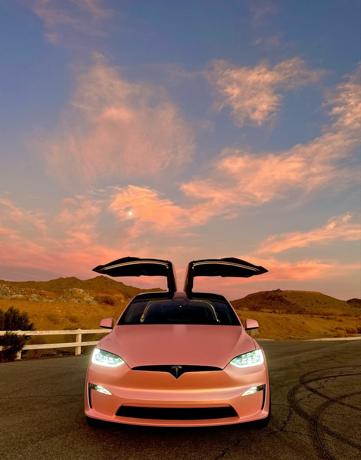 Baby pink Tesla Car 💓