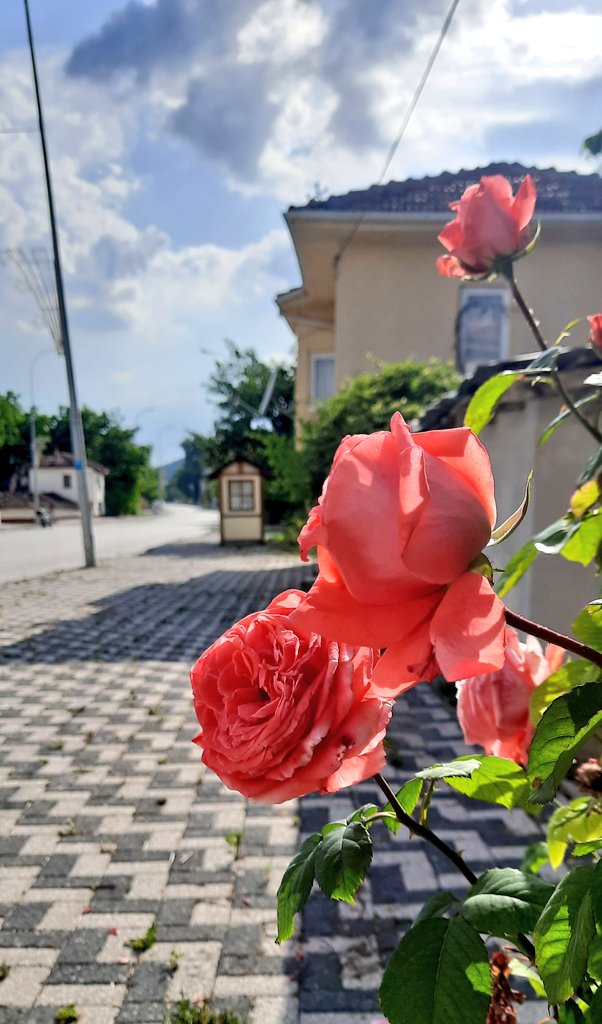 Nezih bir günden...