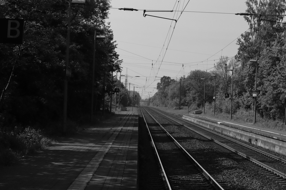 #photo #photography #blackandwhite #landscape #monochrome #landscapephotography #trees #blackandwhitephotography #platform #station