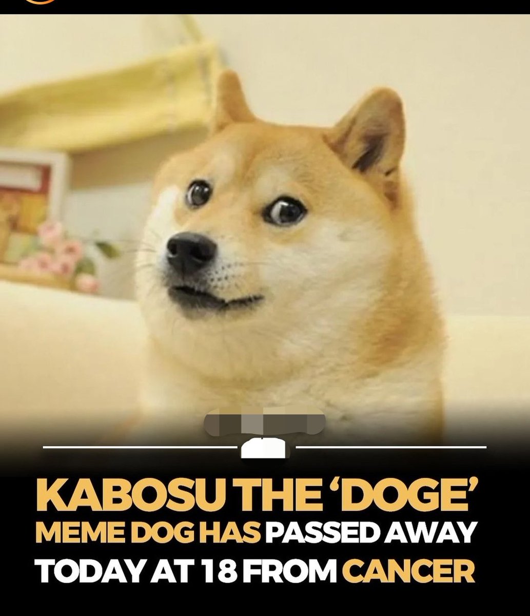 #Kabosu the #Doge meme dog has passed away today at 18 from cancer

#Ethereum #EthereumClassic #ETC #Crypto #BTC #Bitcoin #BTCETF #ETHETF #Pepe #Shib #Bonk #Bome #Ponke #Floki
#CryptoBull #BullRun #Bull #Bullish #Crypto #Cryptocurrency #PricePrediction