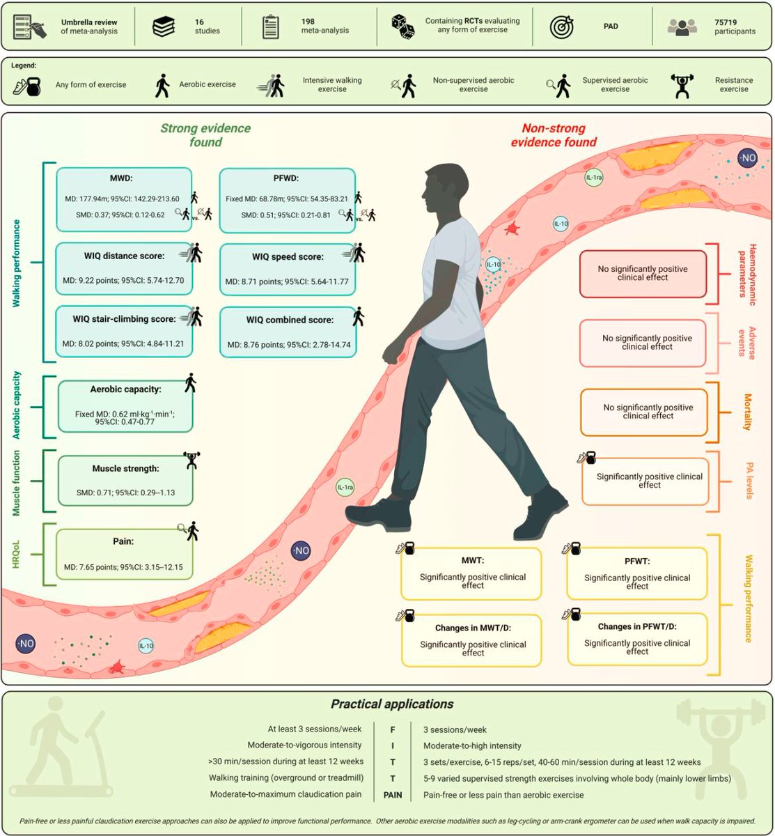 Winners do what they fear: exercise and peripheral arterial disease—an umbrella review Btw....not compatible with 'Rehasport' in Germany! 👇👇👇 pubmed.ncbi.nlm.nih.gov/37611200/