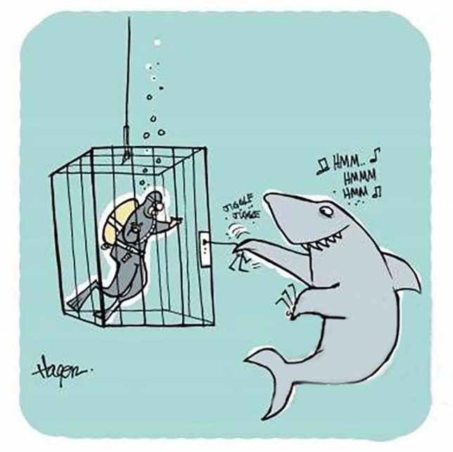 Bonded Lock Co tweet media