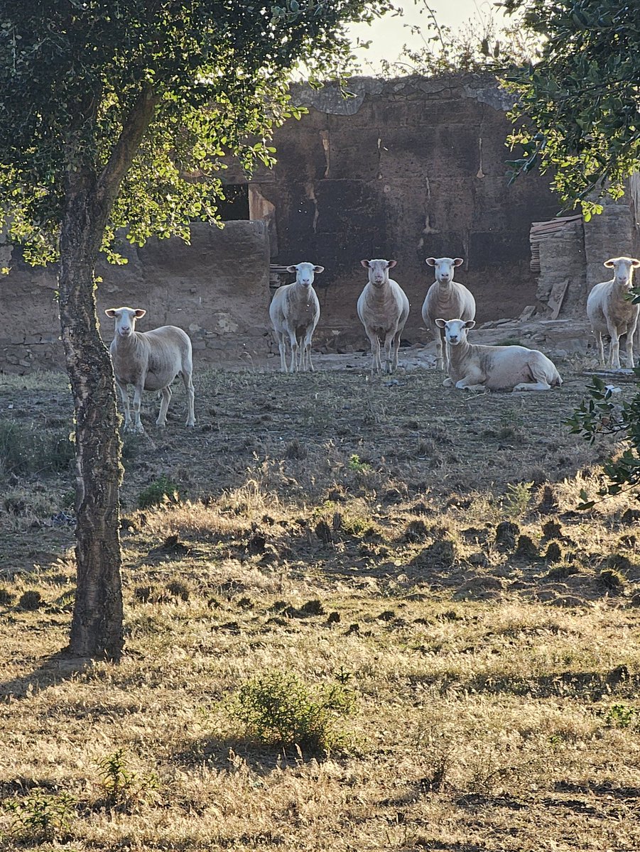 Vizinhança 🌝