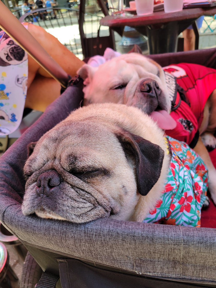 Michelle Prinvale tweet media