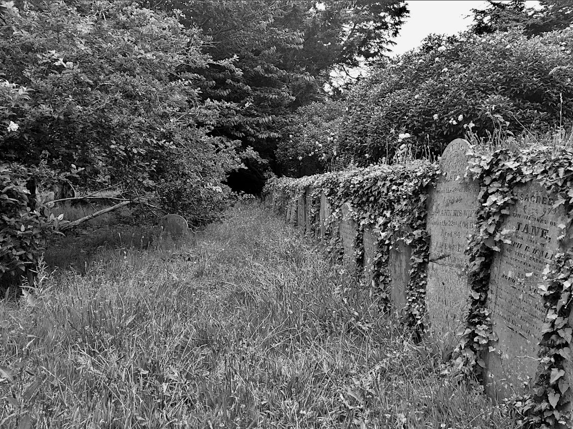 When we walk the wilded avenues of the dead, we are the trespassers. We are the ghosts. For these are places ceded to the Breathless Empire. This is the England of the Pale Crown, not the England of George V. – #CLNolan, 1933