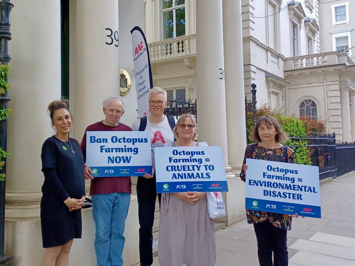 🐙🙏🏽Thank you to those supporting our peaceful protest against Gran Canaria’s octopus farming plans held outside the 🇪🇸 Spanish Embassy, London today &amp; part of an international day of protest to #SaveTheOctopuses.  

Similar events have taken place today in locations worldwide 🧵