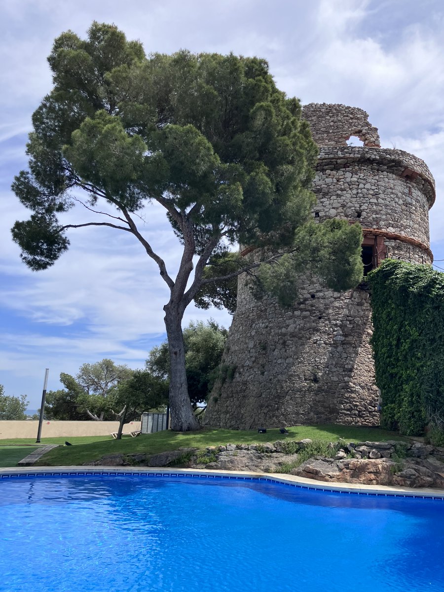 Sun is out at the Craniofacial GRS in Barcelona! Drinks by the pool...