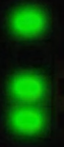 CrossAbdiel's tweet photo. @KreekCraft why are the lights green but turn off later https://t.co/MW95tQlIJH