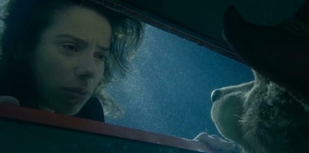 Kieran Buchanan tweet media