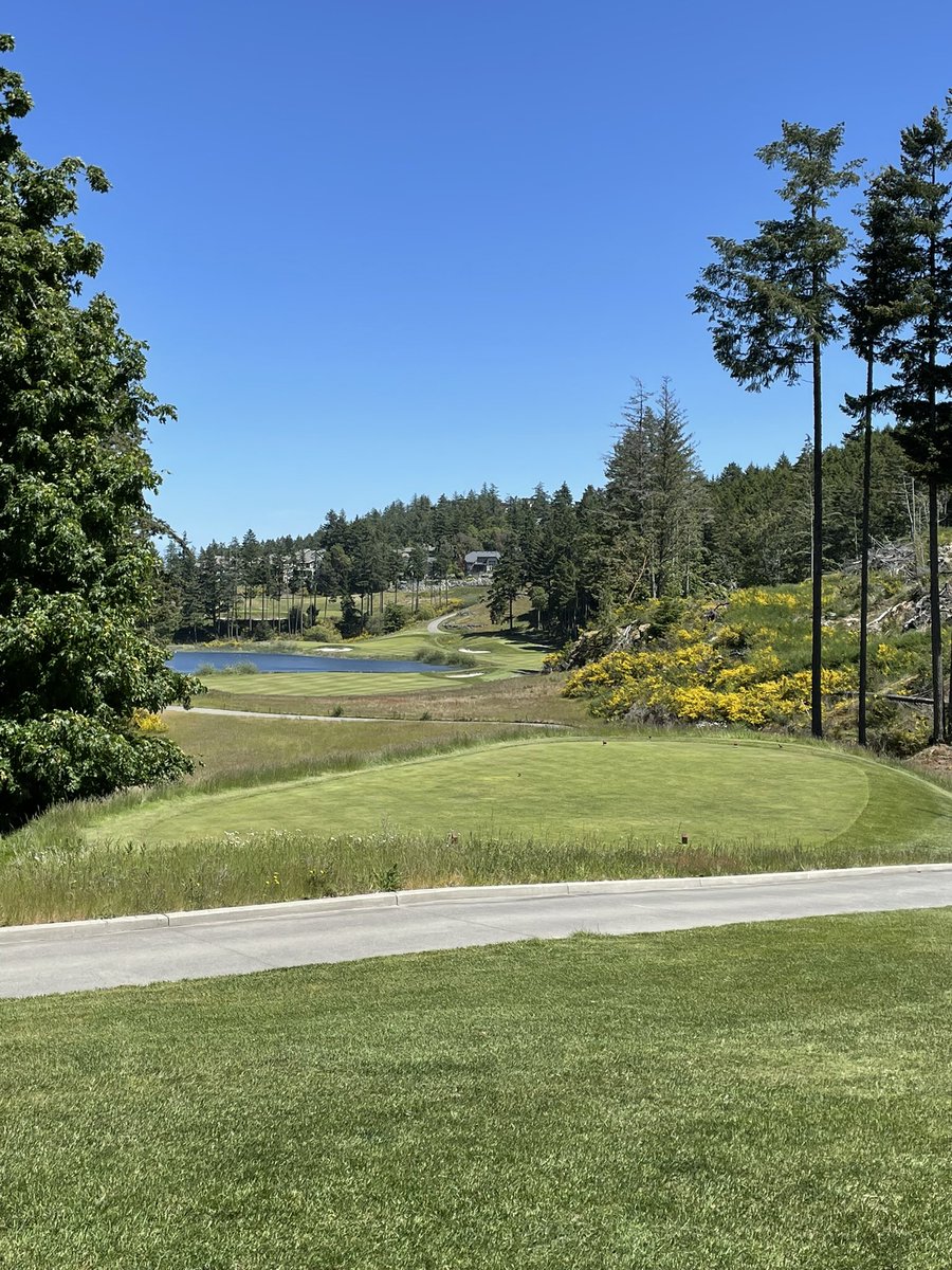 Couple pics of mtn. Course at bear mountain taken a couple days ago ….. pure !