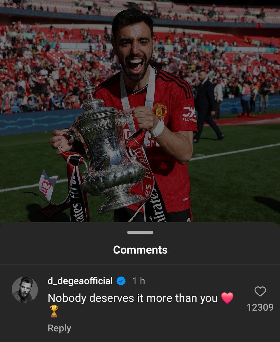 UtdFaithfuls's tweet image. De Gea's reply to Bruno on Instagram ❤️