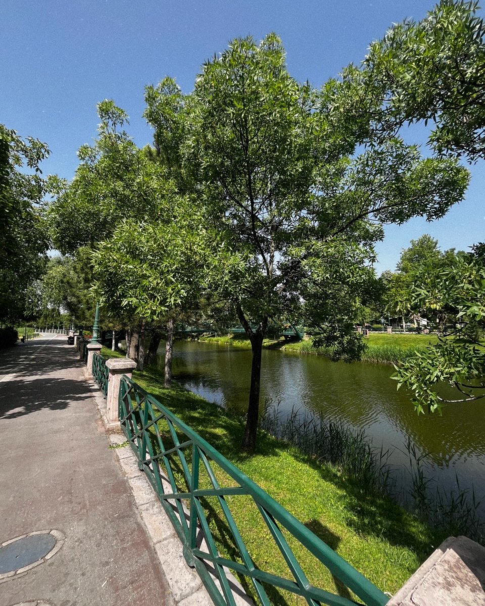 Bazı güzel günler hiç bitmemeli 🌸