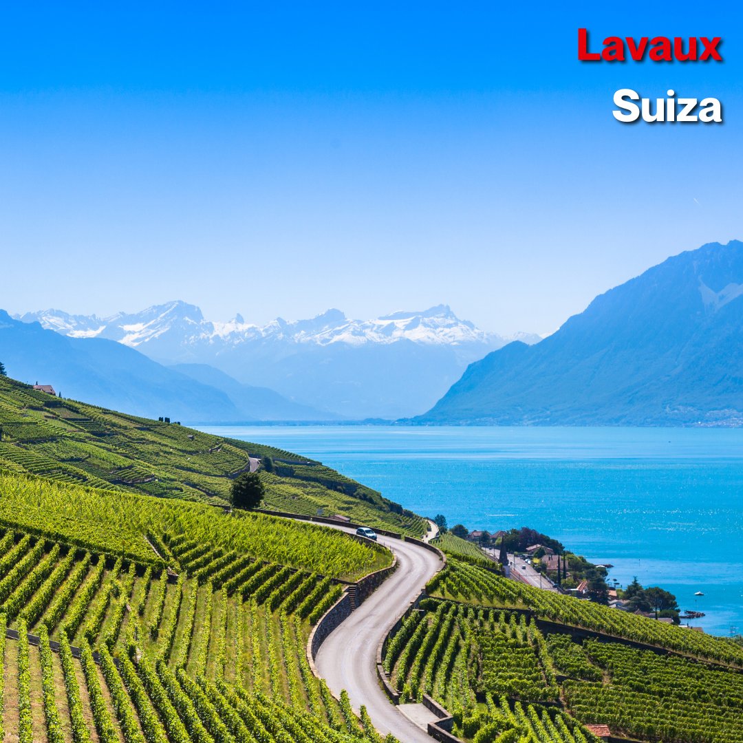 Lutry es una de las ciudades pequeñas más bonitas de Suiza, situada junto al espectacular Lavaux, declarado Patrimonio de la Humanidad por la UNESCO. Sus raíces como próspera ciudad-mercado medieval aún pueden verse en sus estrechas calles empedradas