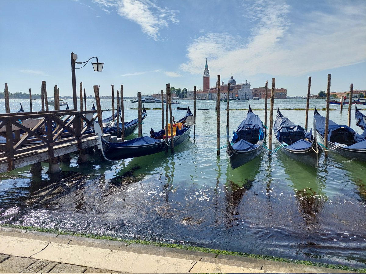 Tämä viikko vietetty tällaisissa maisemissa.