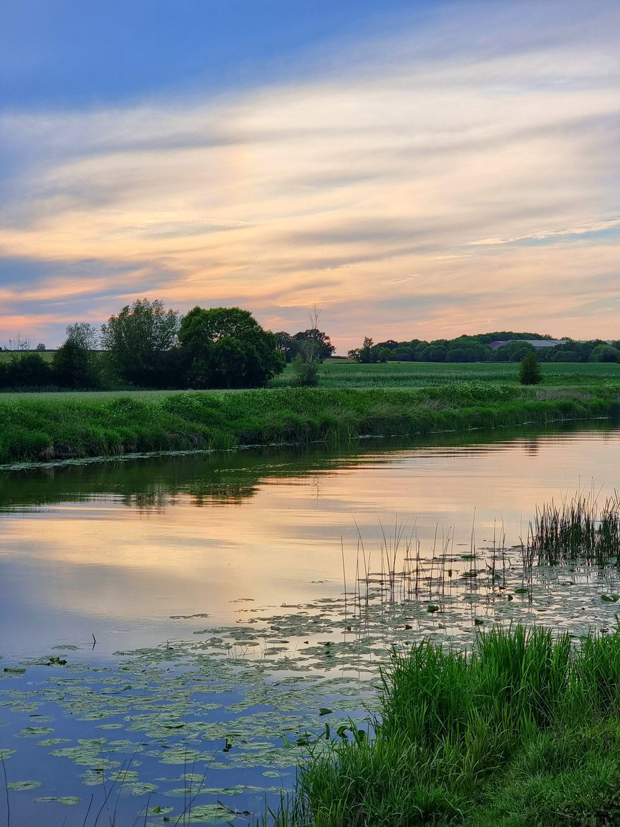 Lovely evening down on the banks of the River Avon looking at Reed warblers 😊