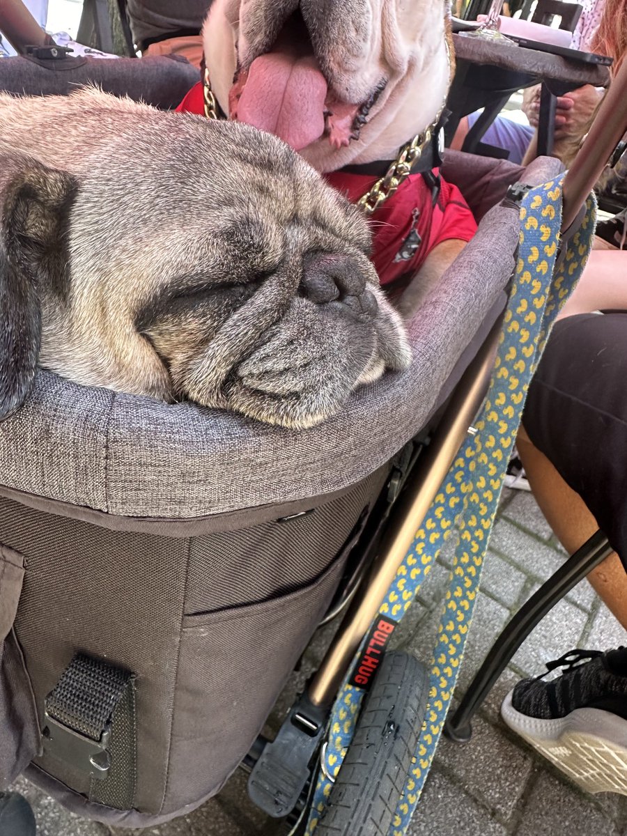 Miley the Amazon tweet media