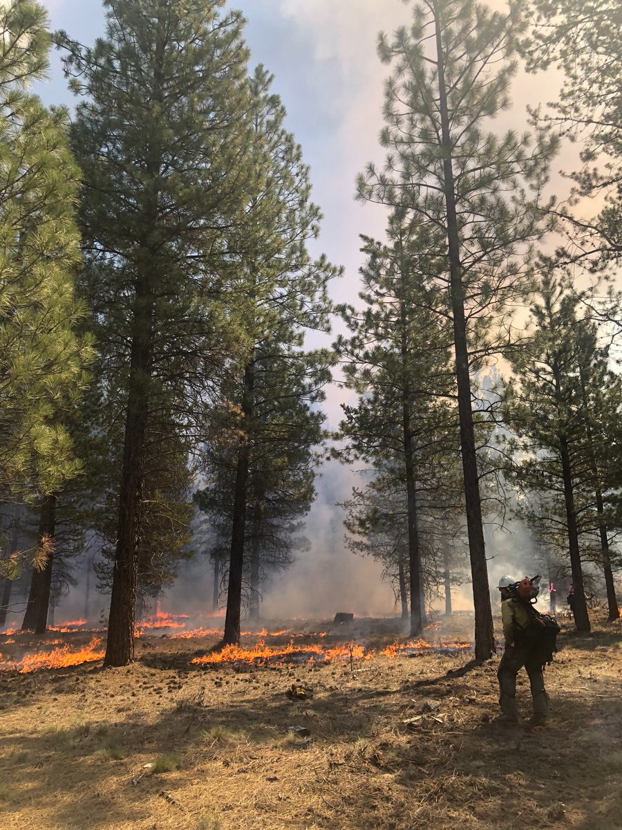 Wildland firefighters perform a hazardous job in dangerous conditions. May is #WildfireAwarenessMonth. We are addressing frequently asked questions about wildland firefighting exposures, PPE, and more on the #ScienceBlog: bit.ly/44kIJr0