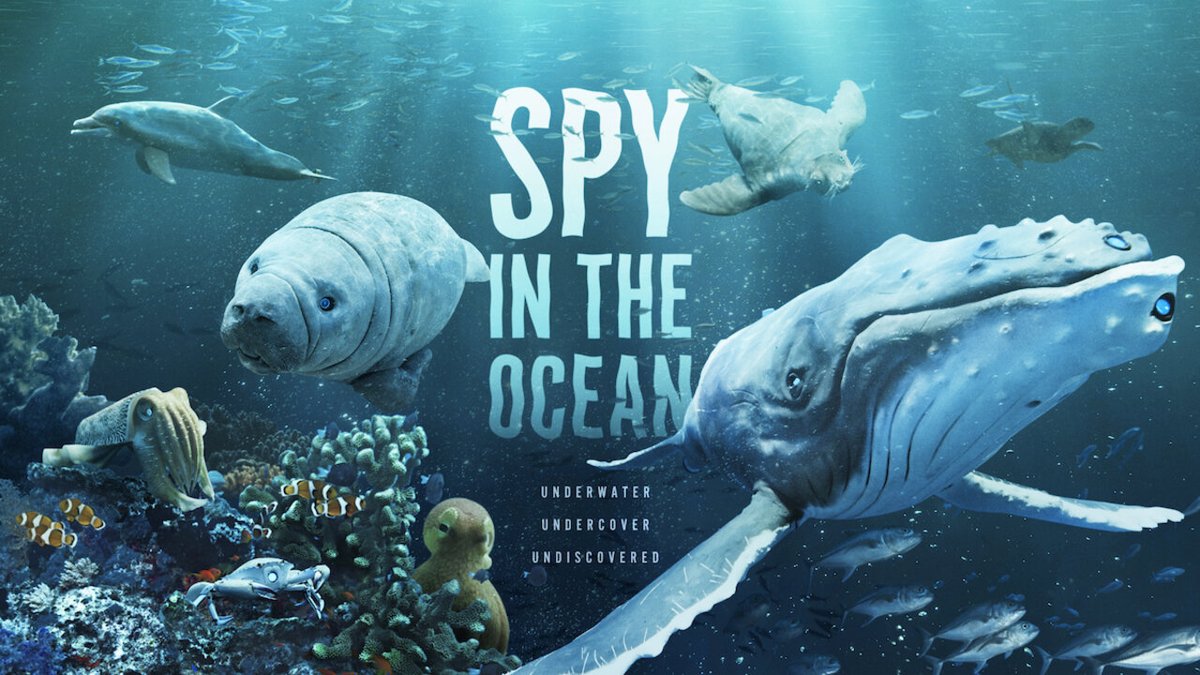 WRLibrary's tweet image. What if you could see marine life from a sea creature's perspective? Watch Spy in the Ocean at Art House Cafe at 2 pm on May 28, in the Williamsburg Library Theatre. In this BBC documentary, lifelike robots designed to mimic sea creatures carry cameras to observe marine life.