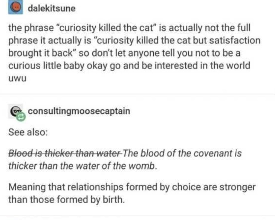 Respectful Memes (@respectfulmemes) on Twitter photo 