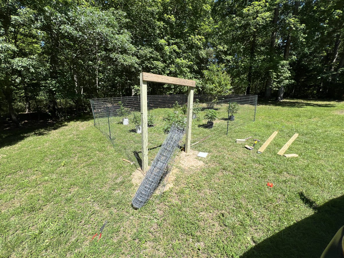 Getting the fence up for the ladies. #CannabisCommunity #growyourown #GardeningIsLife #StonerFam #WeedLovers